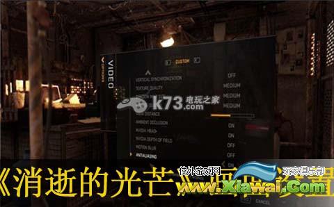 消逝的光芒画面设置选项介绍
