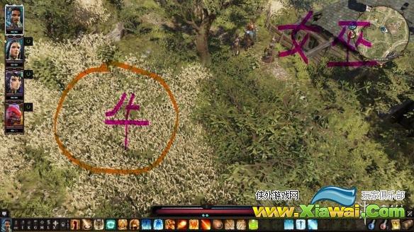 《神界：原罪2》第二章女巫药剂作用解析 女巫药剂有什么用？