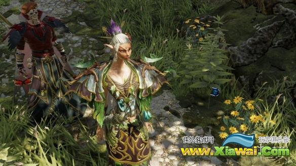 《神界：原罪2》火球女附近的自杀法师打法解析