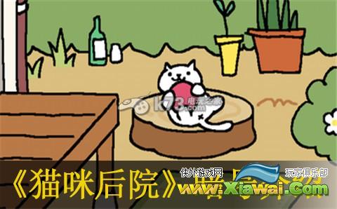 猫咪后院3月27日暗号一览