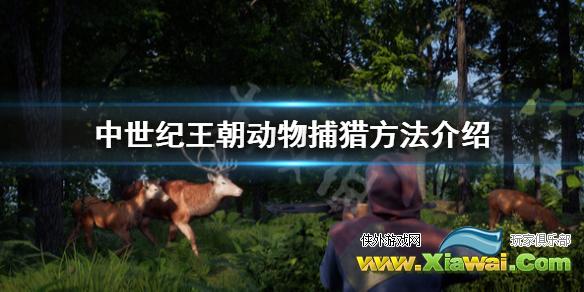 《中世纪王朝》怎么狩猎？动物捕猎方法介绍