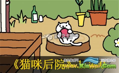 猫咪后院新版1.2.0内容介绍