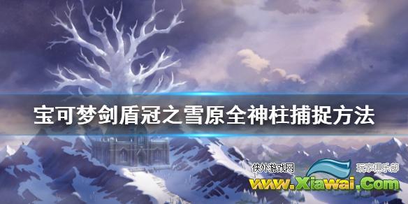 《宝可梦剑盾》神柱怎么抓 冠之雪原全神柱捕捉方法