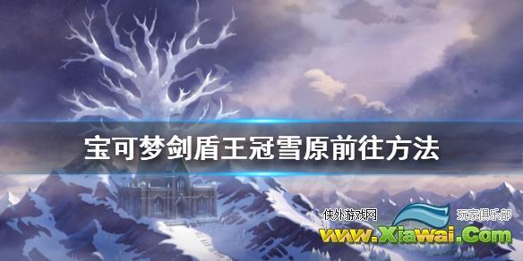 《宝可梦剑盾》冠之雪原怎么去 王冠雪原前往方法