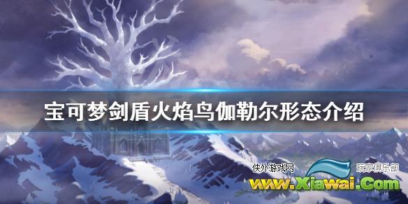 《宝可梦剑盾》冠之雪原火焰鸟怎么样 火焰鸟伽勒尔形态介绍