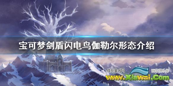 《宝可梦剑盾》冠之雪原闪电鸟怎么样 闪电鸟伽勒尔形态介绍