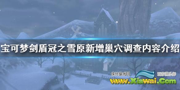 《宝可梦剑盾》冠之雪原新增巢穴调查内容介绍 巢穴调查怎么样？