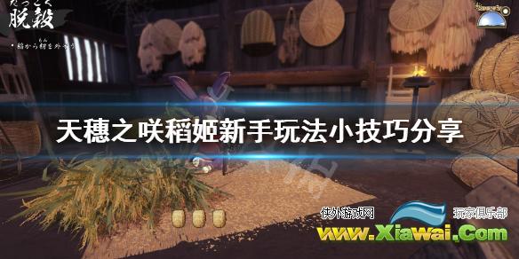 《天穗之咲稻姬》新手怎么玩？新手玩法小技巧分享