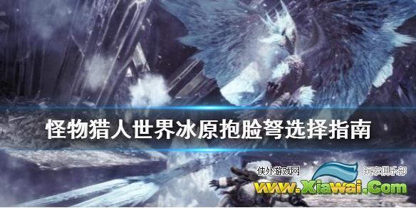 《怪物猎人世界冰原》抱脸弩选择指南 实用抱脸弩推荐