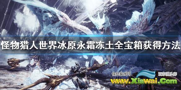 《怪物猎人世界冰原》永霜冻土全宝箱获得方法介绍 永霜冻土宝箱在哪