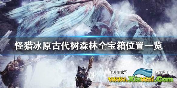 《怪物猎人世界冰原》古代树森林全宝箱位置一览 古代树森林宝箱都在哪