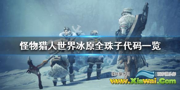 《怪物猎人世界冰原》全珠子代码一览 珠子CE代码是什么