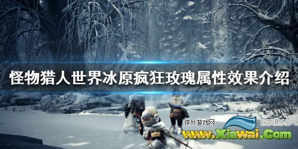 《怪物猎人世界冰原》疯狂玫瑰属性效果介绍 疯狂玫瑰属性怎么样