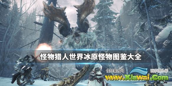 《怪物猎人世界冰原》怪物图鉴大全 怪物弱点属性全介绍