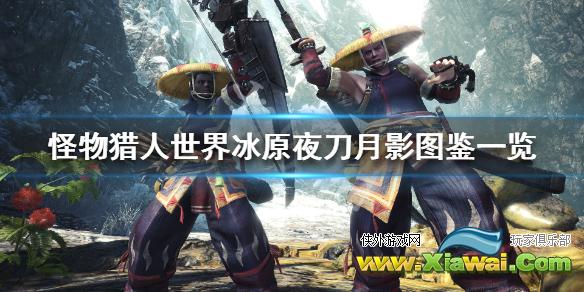 《怪物猎人世界冰原》夜刀月影属性怎么样 夜刀月影图鉴一览