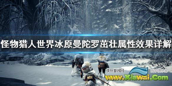 《怪物猎人世界冰原》曼陀罗茁壮属性效果详解 曼陀罗茁壮强度怎么样