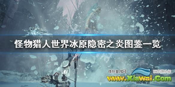 《怪物猎人世界冰原》隐密之炎属性怎么样 隐密之炎图鉴一览