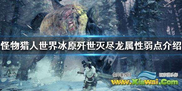 《怪物猎人世界冰原》歼世灭尽龙属性弱点介绍 歼世灭尽龙弱什么属性