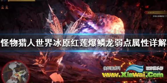 《怪物猎人世界冰原》红莲爆鳞龙弱什么属性 红莲爆鳞龙弱点属性详解