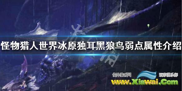 《怪物猎人世界冰原》独耳黑狼鸟弱点属性介绍 独耳黑狼鸟弱什么属性