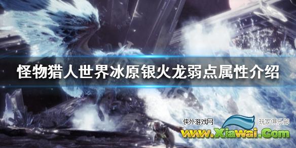 《怪物猎人世界冰原》银火龙弱点属性介绍 银火龙弱什么