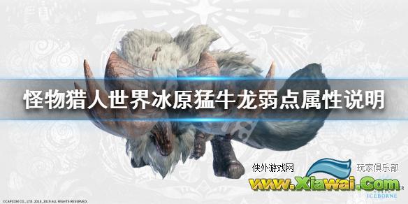 《怪物猎人世界冰原》猛牛龙弱什么属性 猛牛龙弱点属性说明