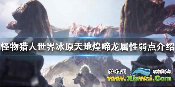 《怪物猎人世界冰原》天地煌啼龙属性弱点介绍 天地煌啼龙弱什么属性