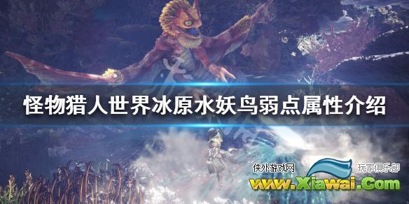 《怪物猎人世界冰原》水妖鸟弱点属性介绍 水妖鸟弱什么