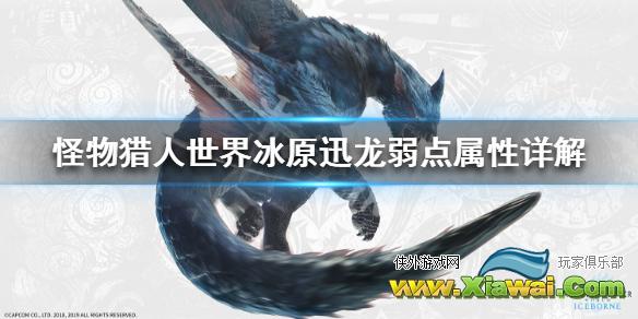 《怪物猎人世界冰原》迅龙弱点属性详解 迅龙弱什么属性