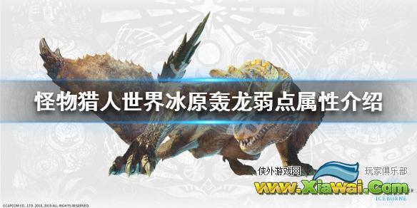 《怪物猎人世界冰原》轰龙弱点属性介绍 轰龙弱什么属性