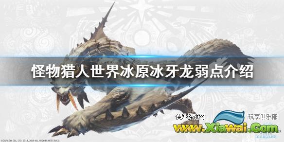 《怪物猎人世界冰原》冰牙龙弱什么属性 冰牙龙弱点介绍