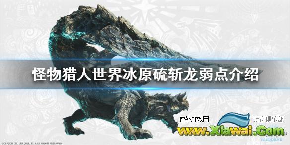 《怪物猎人世界冰原》硫斩龙弱什么属性 硫斩龙弱点介绍