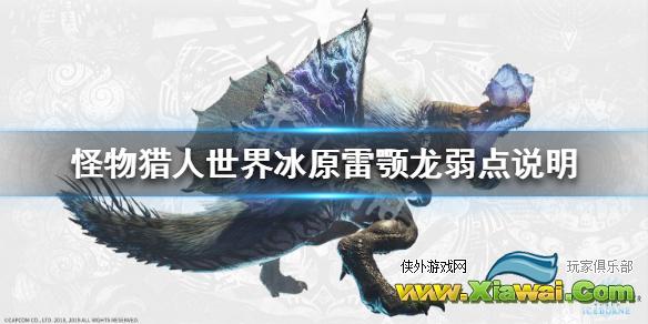 《怪物猎人世界冰原》雷颚龙弱什么 雷颚龙弱点说明