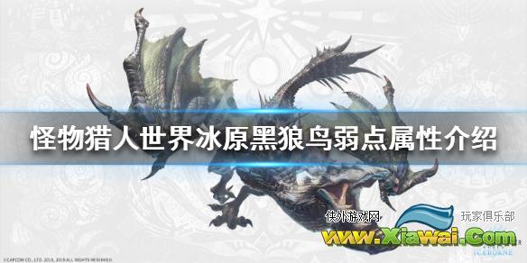 《怪物猎人世界冰原》黑狼鸟弱什么属性 黑狼鸟弱点属性介绍