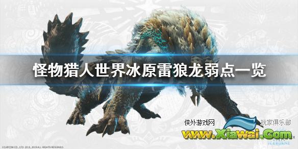 《怪物猎人世界冰原》雷狼龙弱什么属性 雷狼龙弱点一览