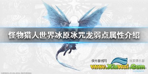 《怪物猎人世界冰原》冰咒龙弱点属性介绍 冰咒龙资料一览