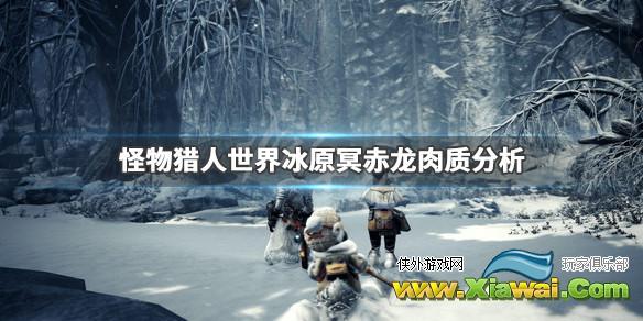 《怪物猎人世界冰原》冥赤龙肉质分析 冥赤龙怎么打