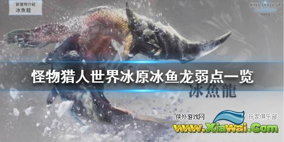 《怪物猎人世界冰原》冰鱼龙弱点一览 冰鱼龙打法技巧介绍