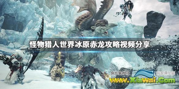 《怪物猎人世界冰原》赤龙怎么打 赤龙攻略视频分享