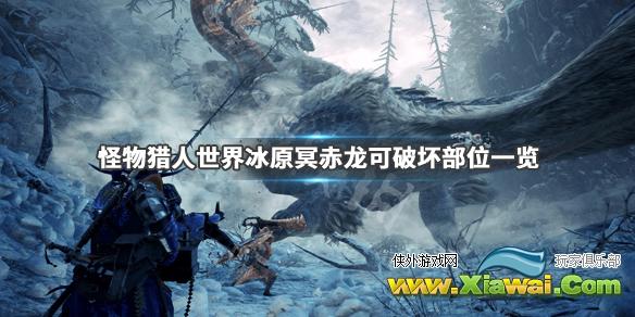 《怪物猎人世界冰原》冥赤龙可破坏部位一览 冥赤龙各部位破坏点数介绍