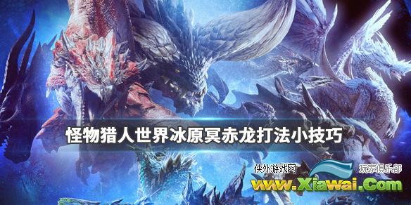 《怪物猎人世界冰原》冥赤龙打法小技巧 冥赤龙怎么打？