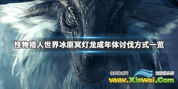 《怪物猎人世界冰原》冥灯龙怎么打 冥灯龙成年体讨伐方式一览