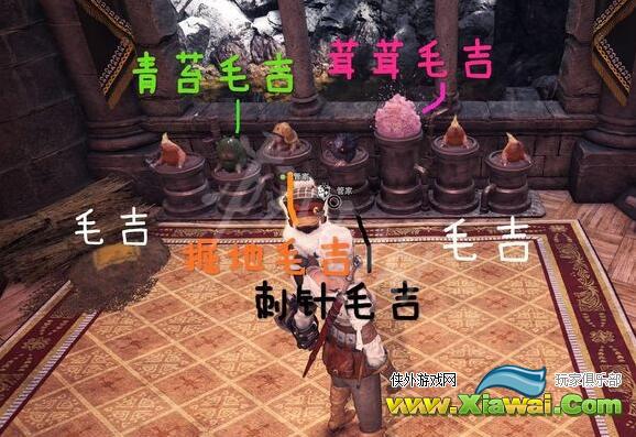《怪物猎人世界冰原》毛吉怎么抓 毛吉捕获方法一览