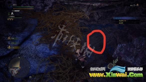 《怪物猎人世界冰原》小动物怎么抓？小动物捕捉点与时间说明